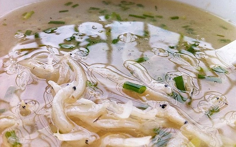 The Water Shield and White Bait Soup